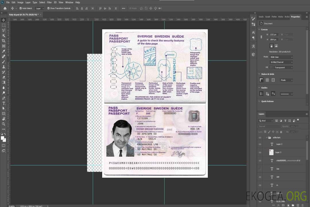 Passeport suédois template
